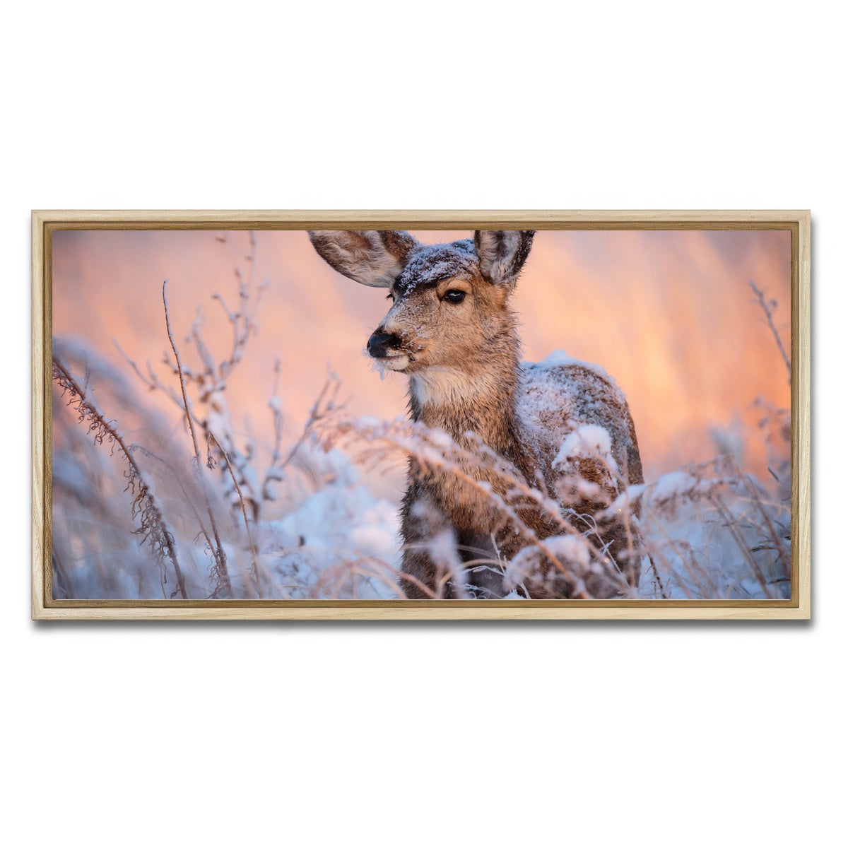 AUTO-MOCKUP WHITE | Colorado Doe | 1 Piece | Natural Framed Canvas | group=2x1