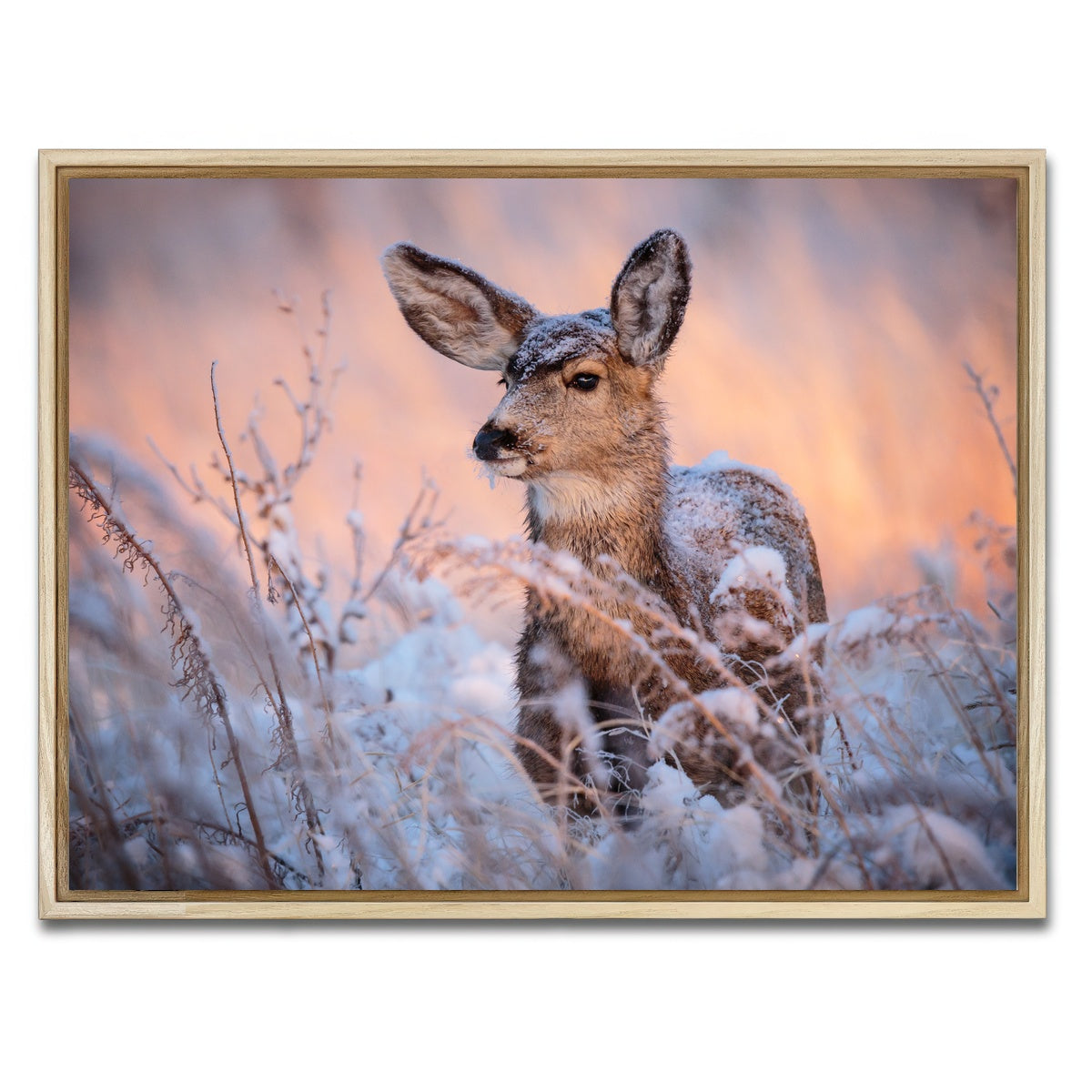 AUTO-MOCKUP WHITE | Colorado Doe | 1 Piece | Natural Framed Canvas | group=4x3