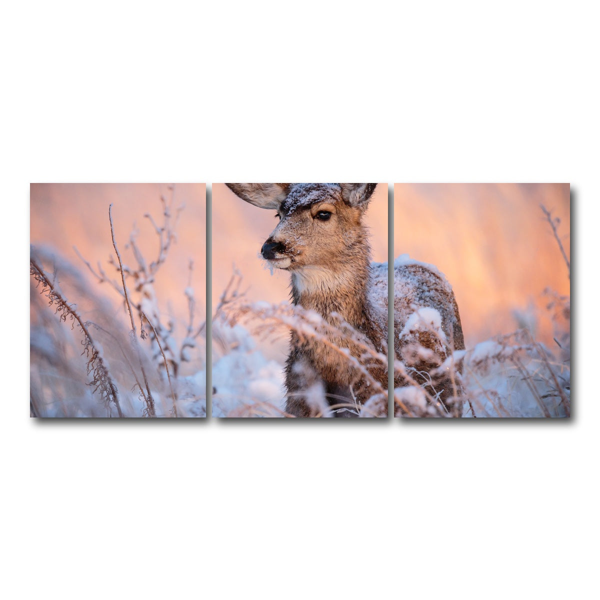 AUTO-MOCKUP WHITE | Colorado Doe | 3 Piece | Gallery Wrap Canvas | group=18x24