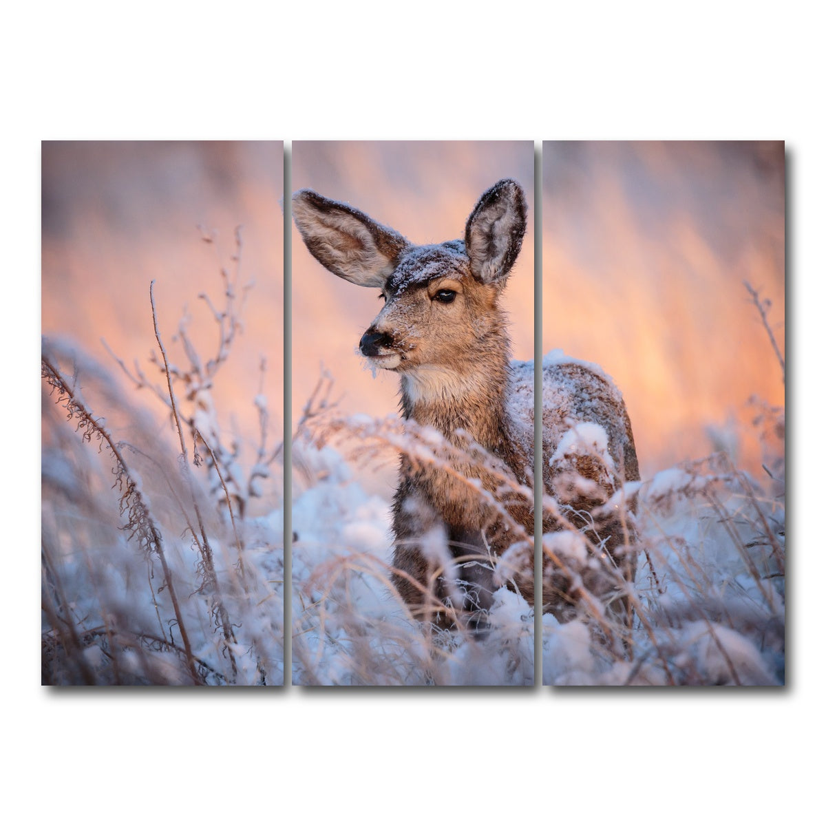 AUTO-MOCKUP WHITE | Colorado Doe | 3 Piece | Gallery Wrap Canvas | group=8x18