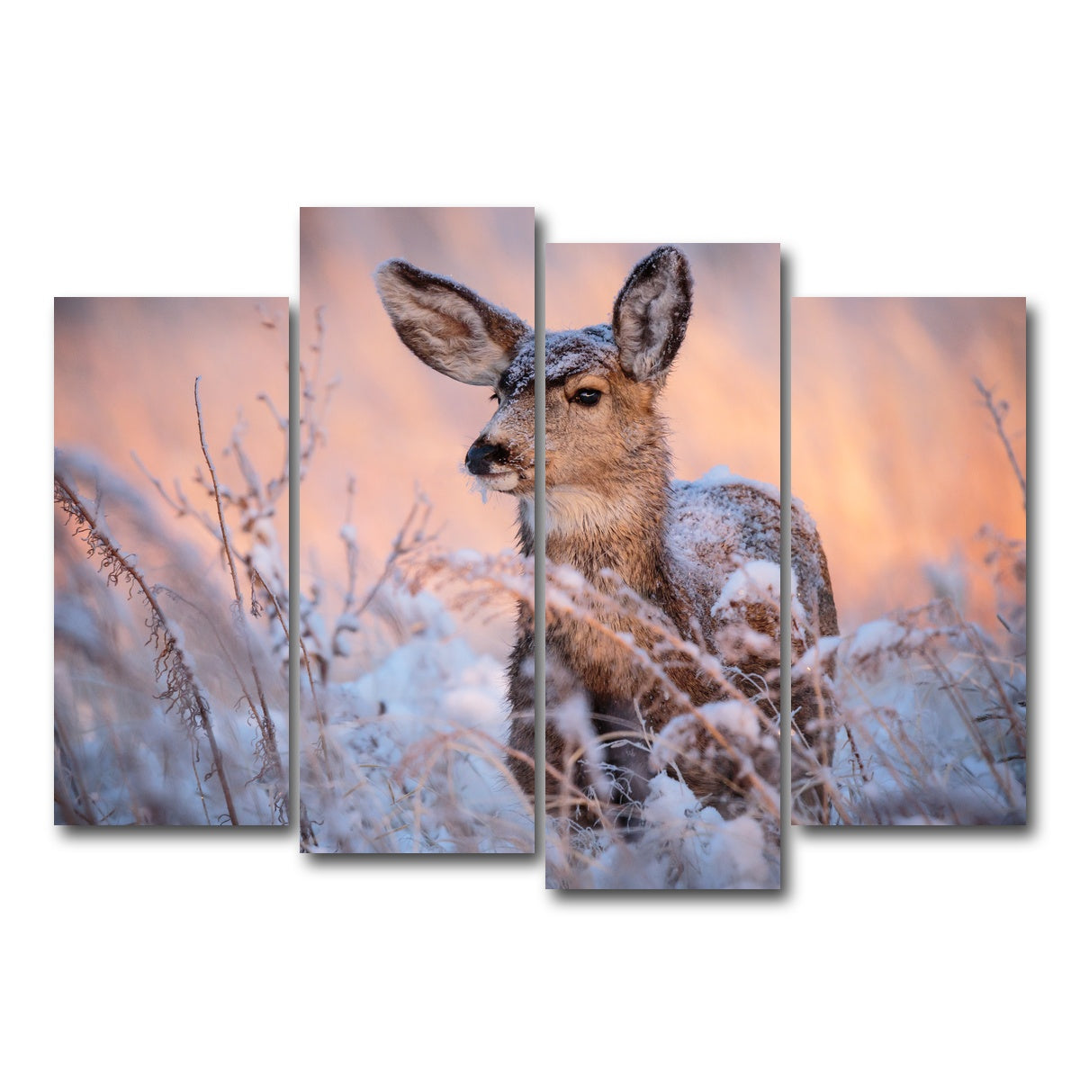 AUTO-MOCKUP WHITE | Colorado Doe | 4 Piece | Gallery Wrap Canvas | group=4_normal