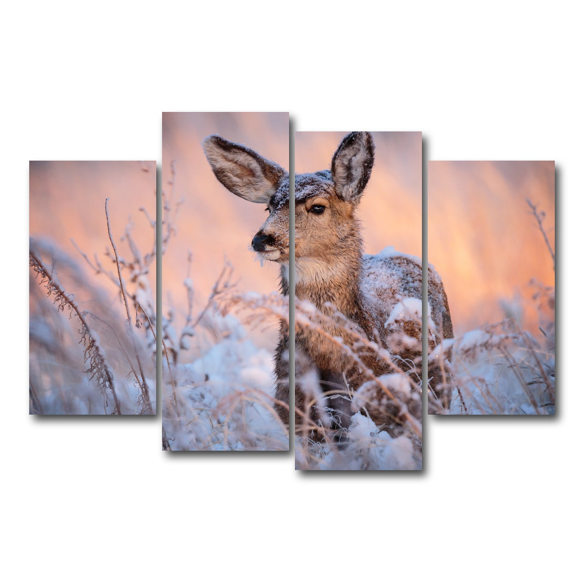 AUTO-MOCKUP WHITE | Colorado Doe | 4 Piece | Gallery Wrap Canvas | group=4_short