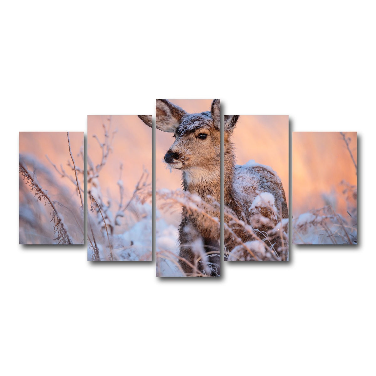 AUTO-MOCKUP WHITE | Colorado Doe | 5 Piece | Gallery Wrap Canvas | group=5_normal