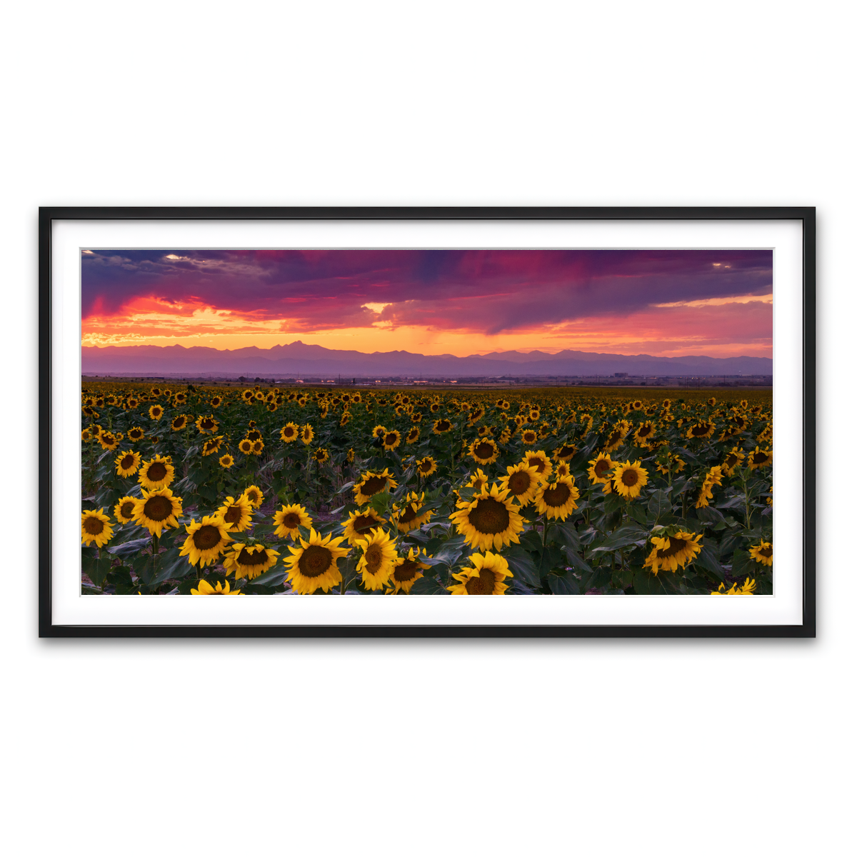 Framed Print 2x1 Black