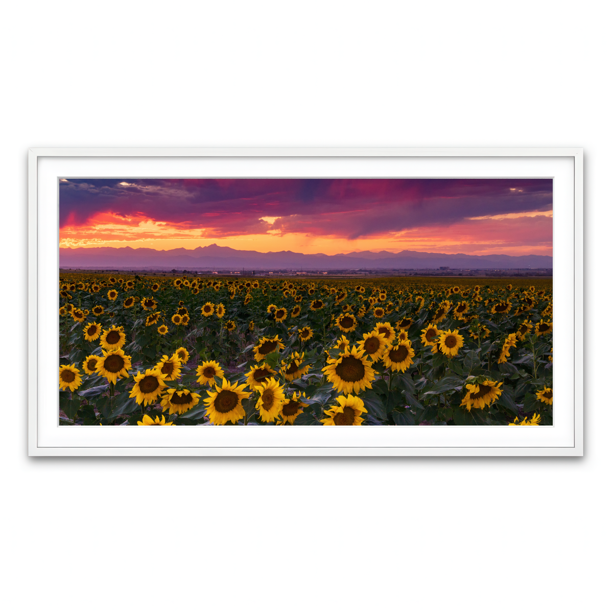 Framed Print 2x1 White