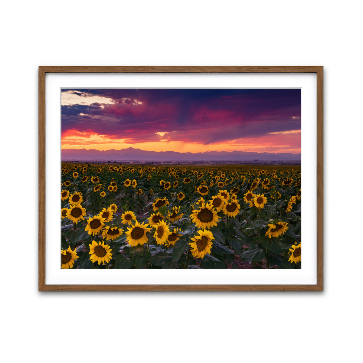 Framed Print 4x3 Walnut