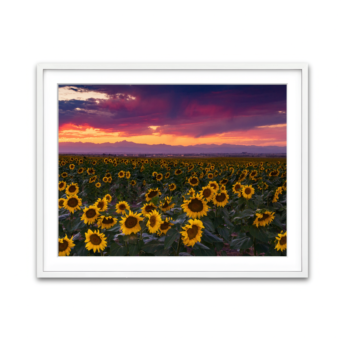 Framed Print 4x3 White