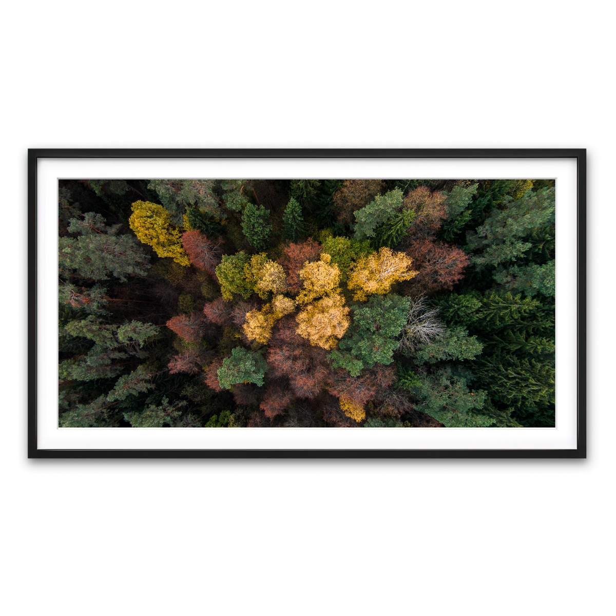 Framed Print 2x1 Black