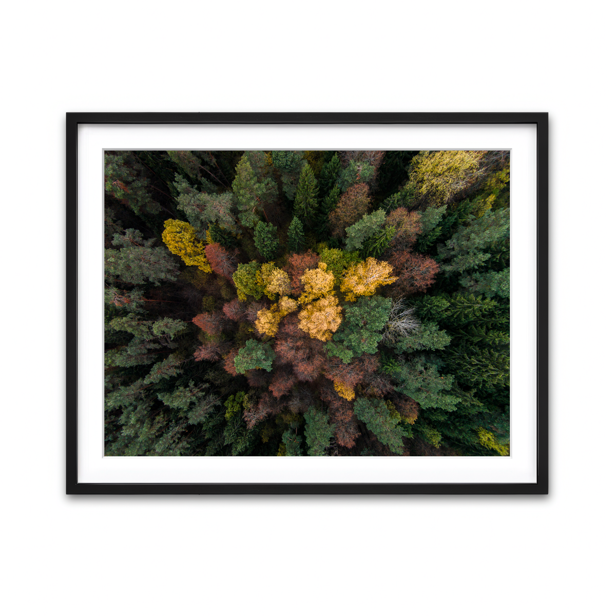 Framed Print 4x3 Black