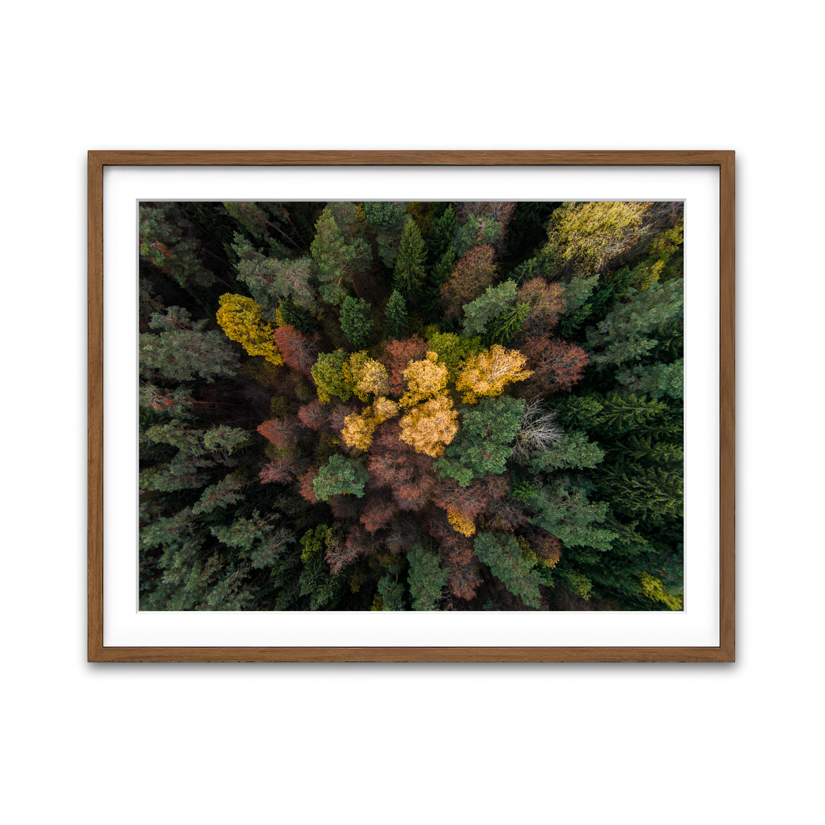 Framed Print 4x3 Walnut