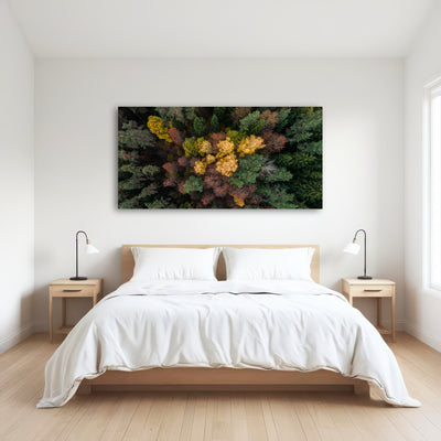 AUTO-MOCKUP ROOM | Colorful Canopy