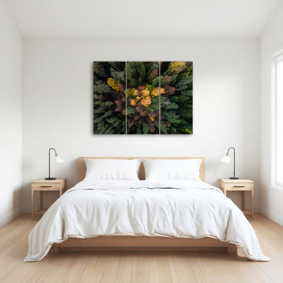 AUTO-MOCKUP ROOM | Colorful Canopy