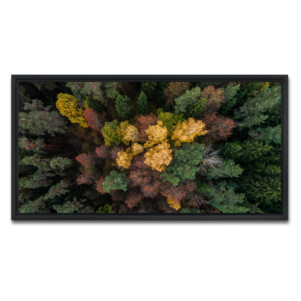 AUTO-MOCKUP WHITE | Colorful Canopy | 1 Piece | Black Framed Canvas | group=2x1