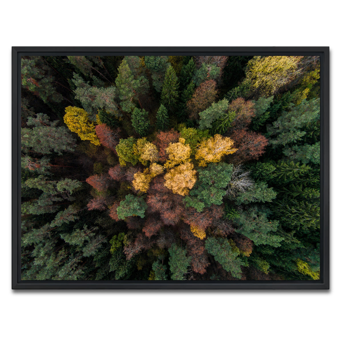 AUTO-MOCKUP WHITE | Colorful Canopy | 1 Piece | Black Framed Canvas | group=4x3