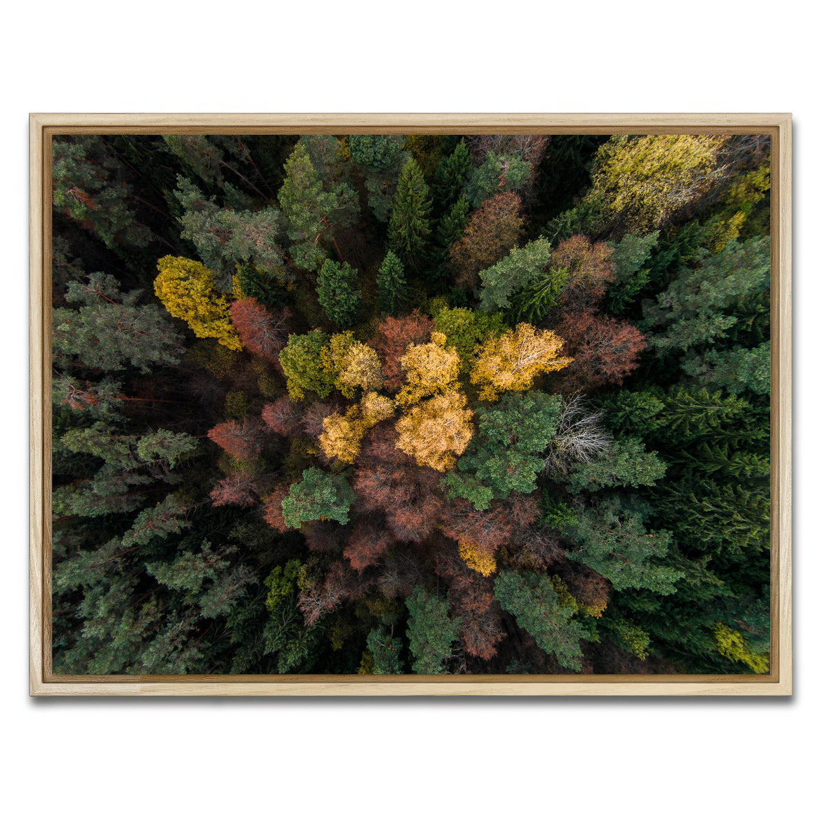 AUTO-MOCKUP WHITE | Colorful Canopy | 1 Piece | Natural Framed Canvas | group=4x3