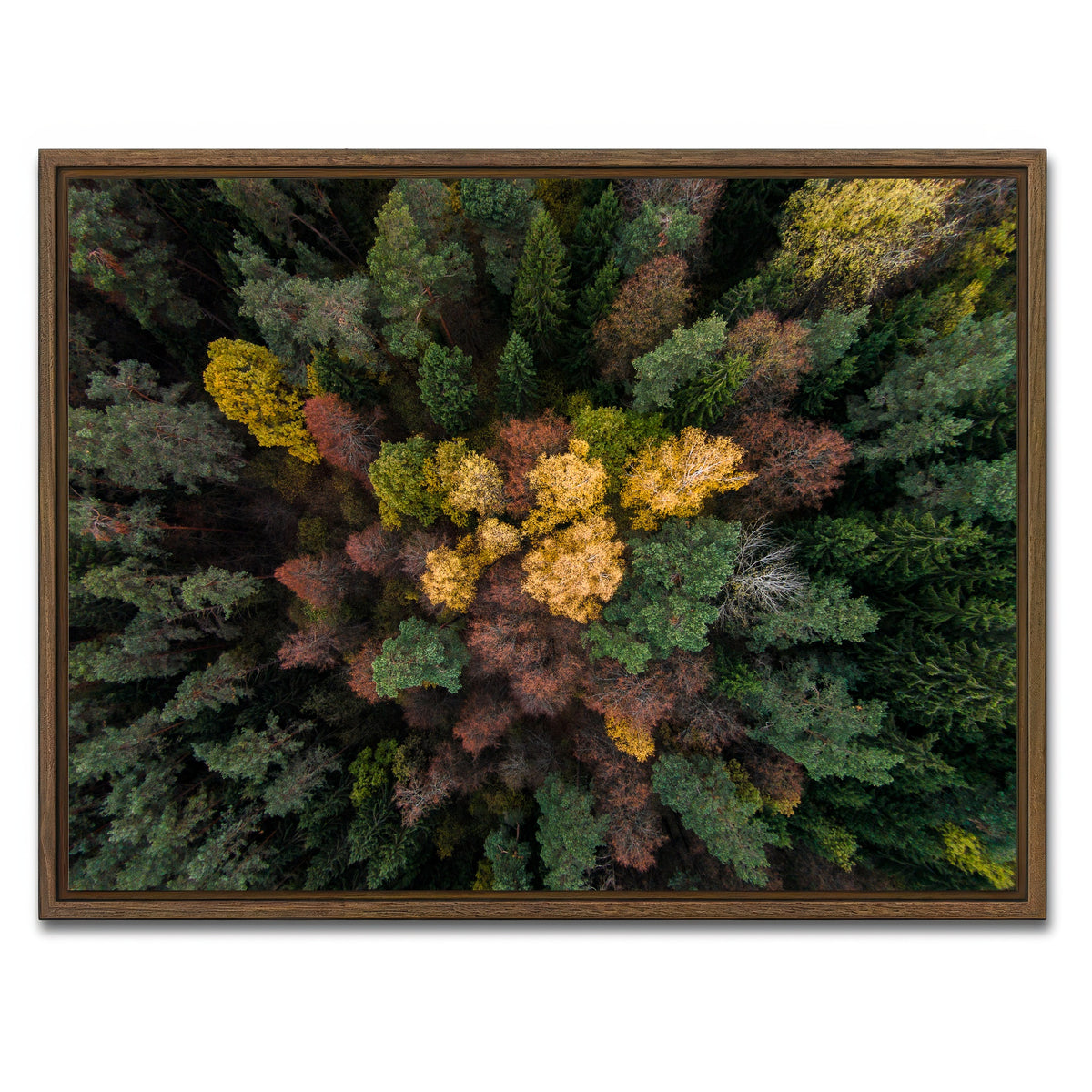 AUTO-MOCKUP WHITE | Colorful Canopy | 1 Piece | Walnut Framed Canvas | group=4x3