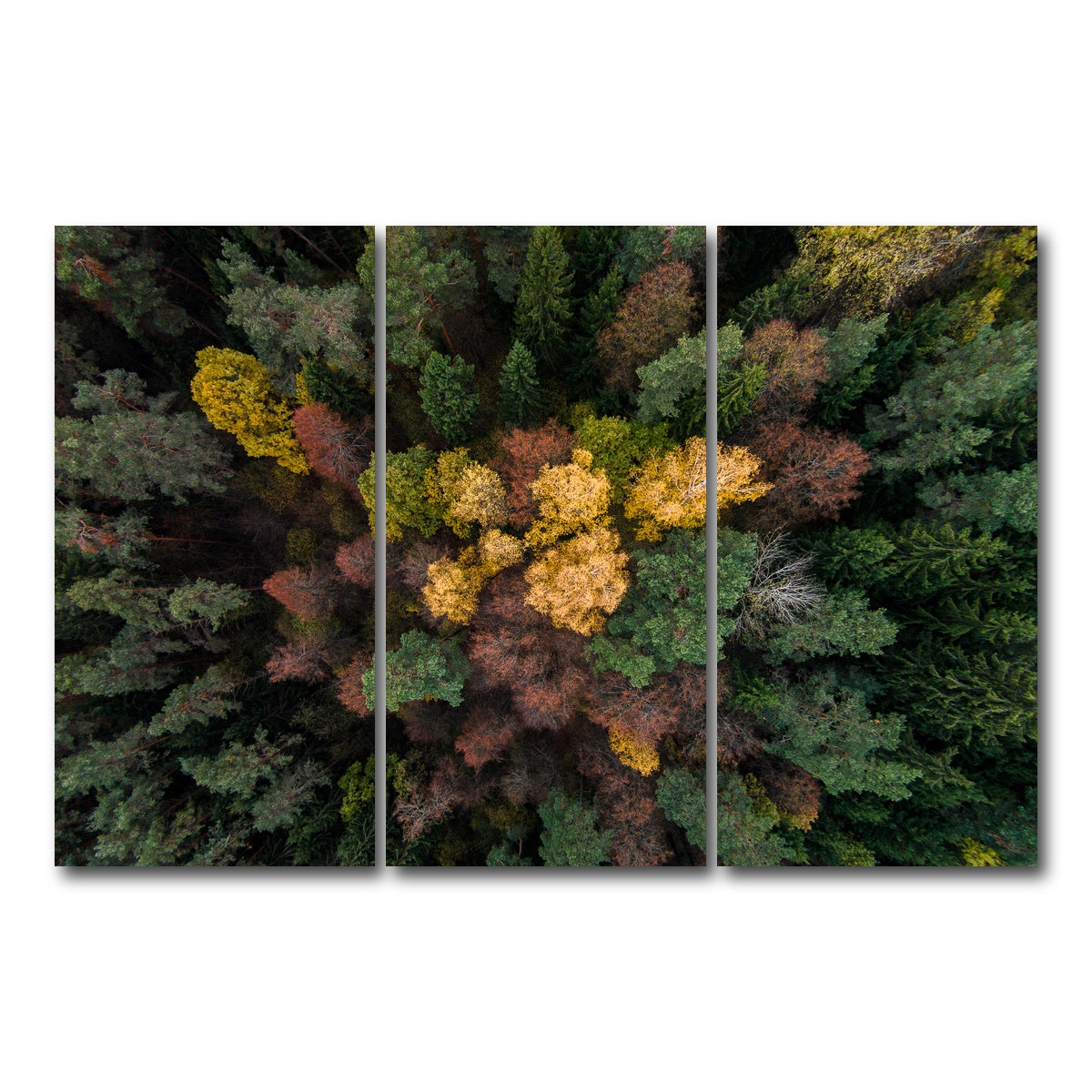 AUTO-MOCKUP WHITE | Colorful Canopy | 3 Piece | Gallery Wrap Canvas | group=12x24