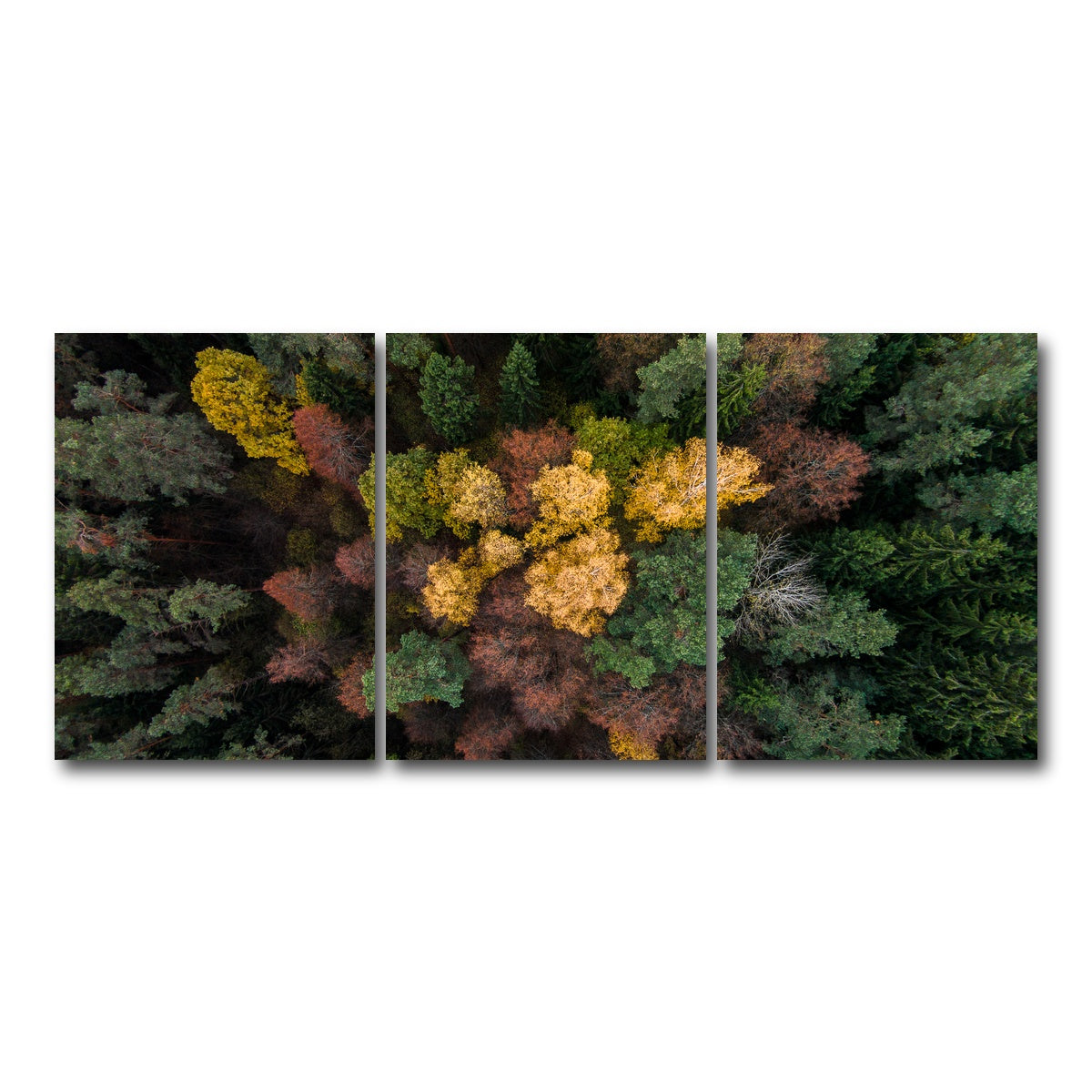 AUTO-MOCKUP WHITE | Colorful Canopy | 3 Piece | Gallery Wrap Canvas | group=18x24