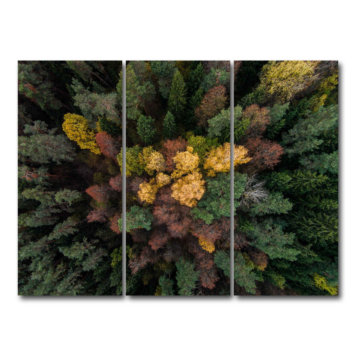 AUTO-MOCKUP WHITE | Colorful Canopy | 3 Piece | Gallery Wrap Canvas | group=8x18