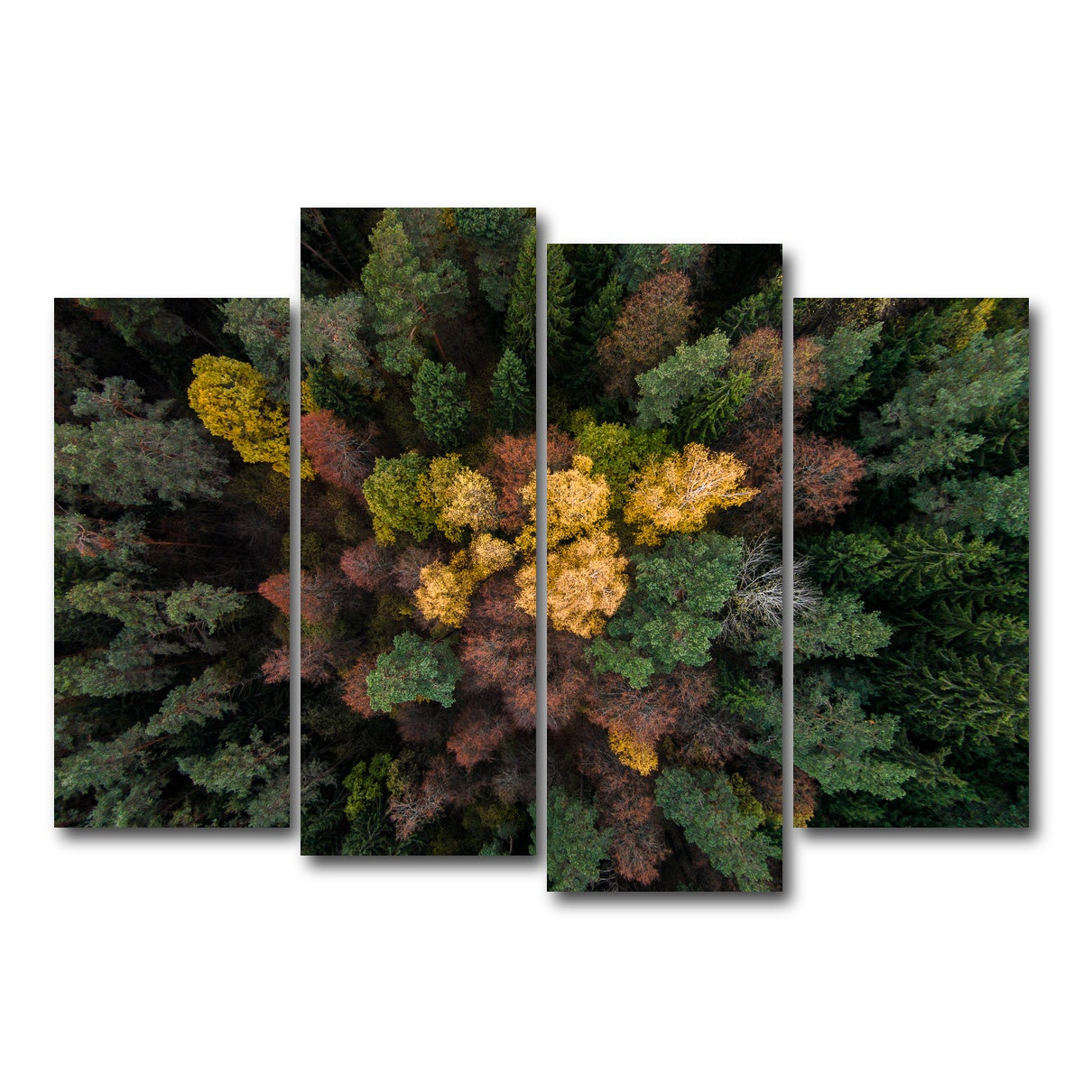 AUTO-MOCKUP WHITE | Colorful Canopy | 4 Piece | Gallery Wrap Canvas | group=4_normal