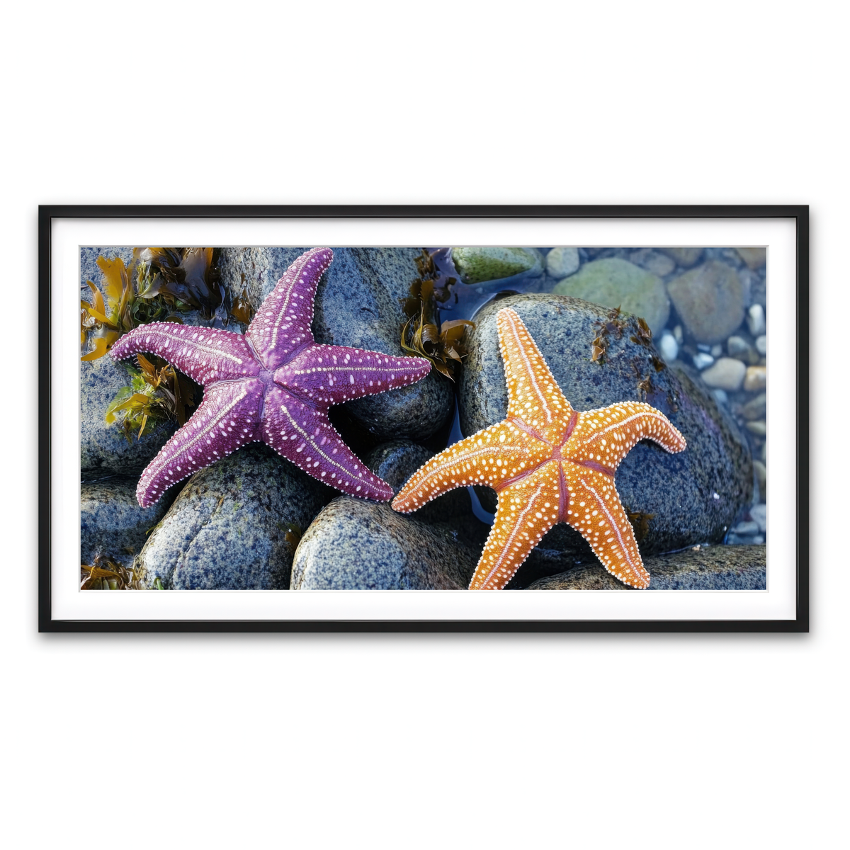 Framed Print 2x1 Black