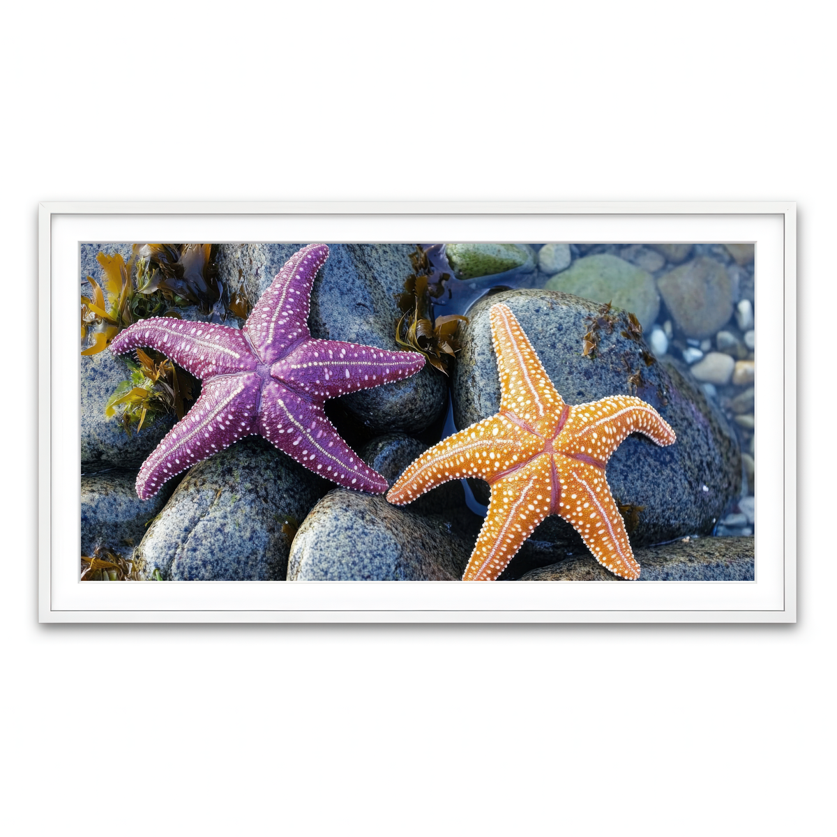 Framed Print 2x1 White