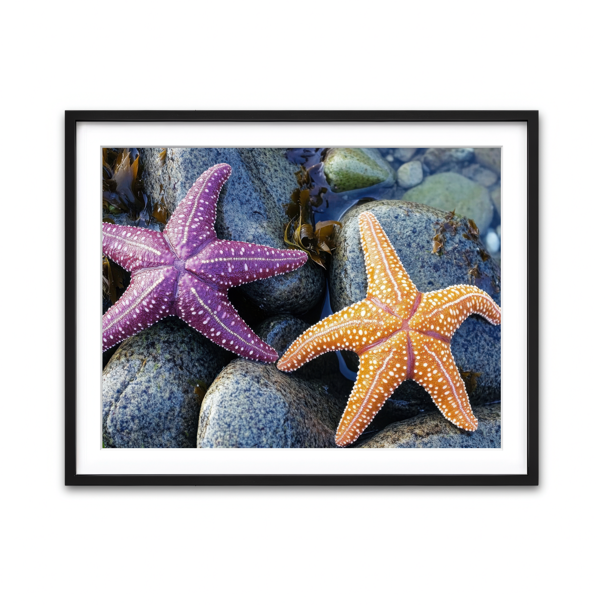 Framed Print 4x3 Black