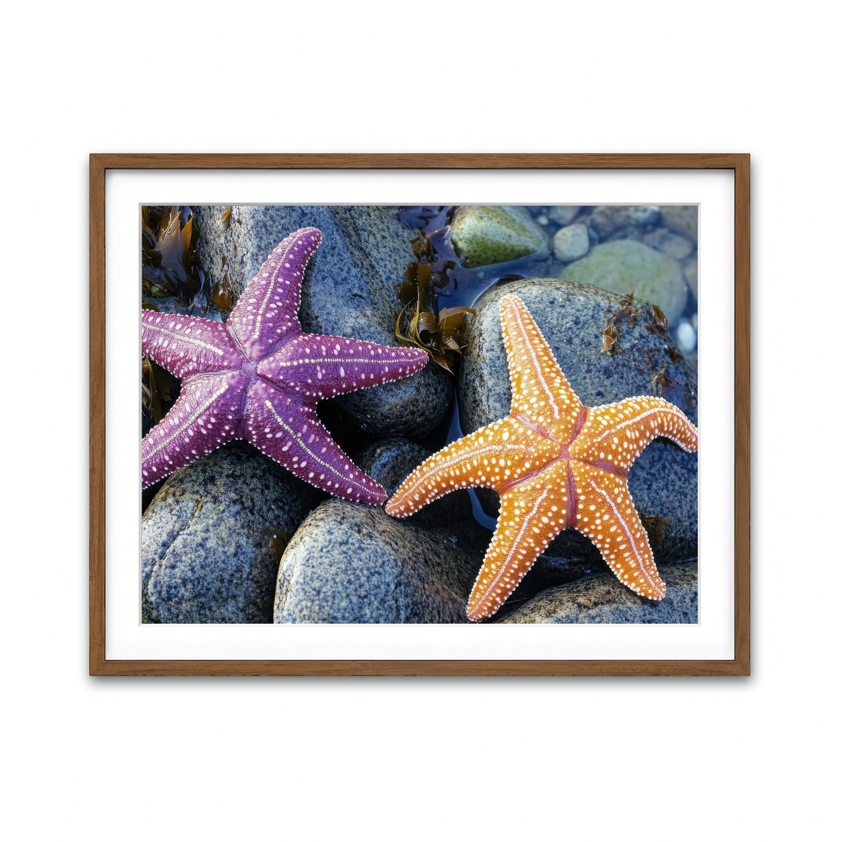 Framed Print 4x3 Walnut