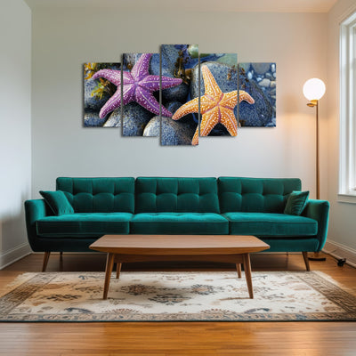 AUTO-MOCKUP ROOM | Colorful starfishes