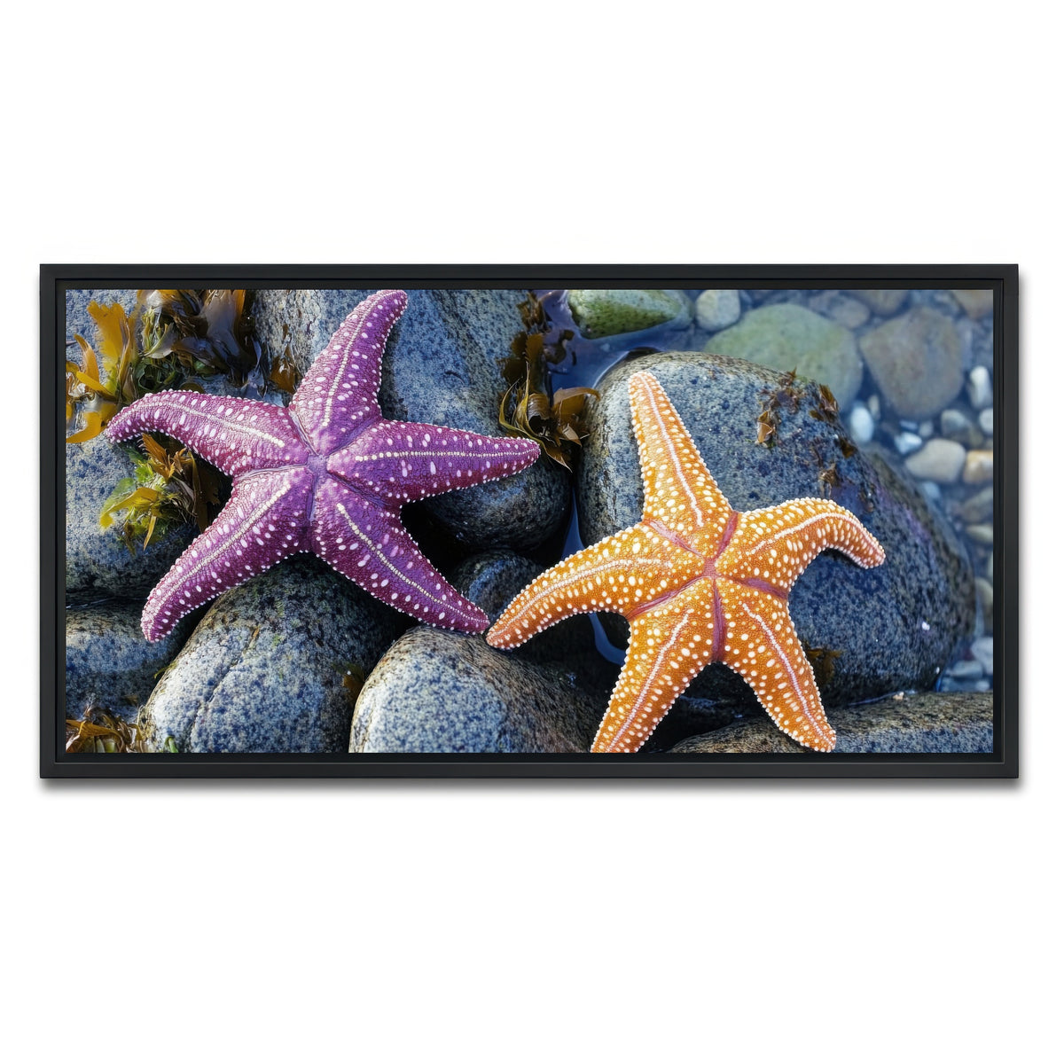AUTO-MOCKUP WHITE | Colorful starfishes | 1 Piece | Black Framed Canvas | group=2x1