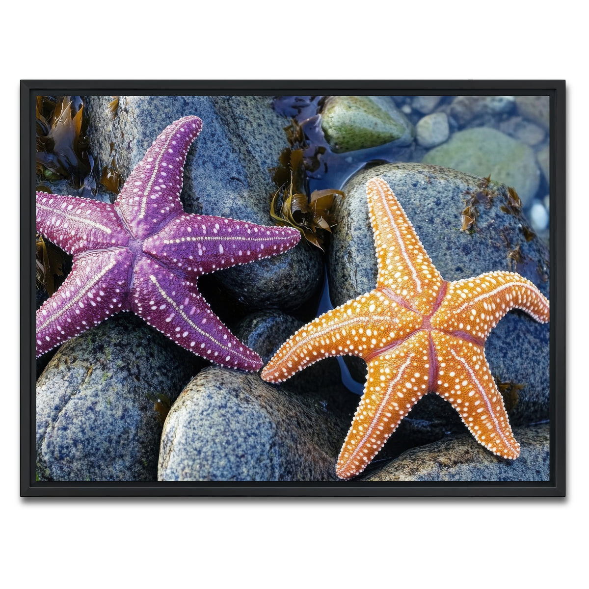AUTO-MOCKUP WHITE | Colorful starfishes | 1 Piece | Black Framed Canvas | group=4x3