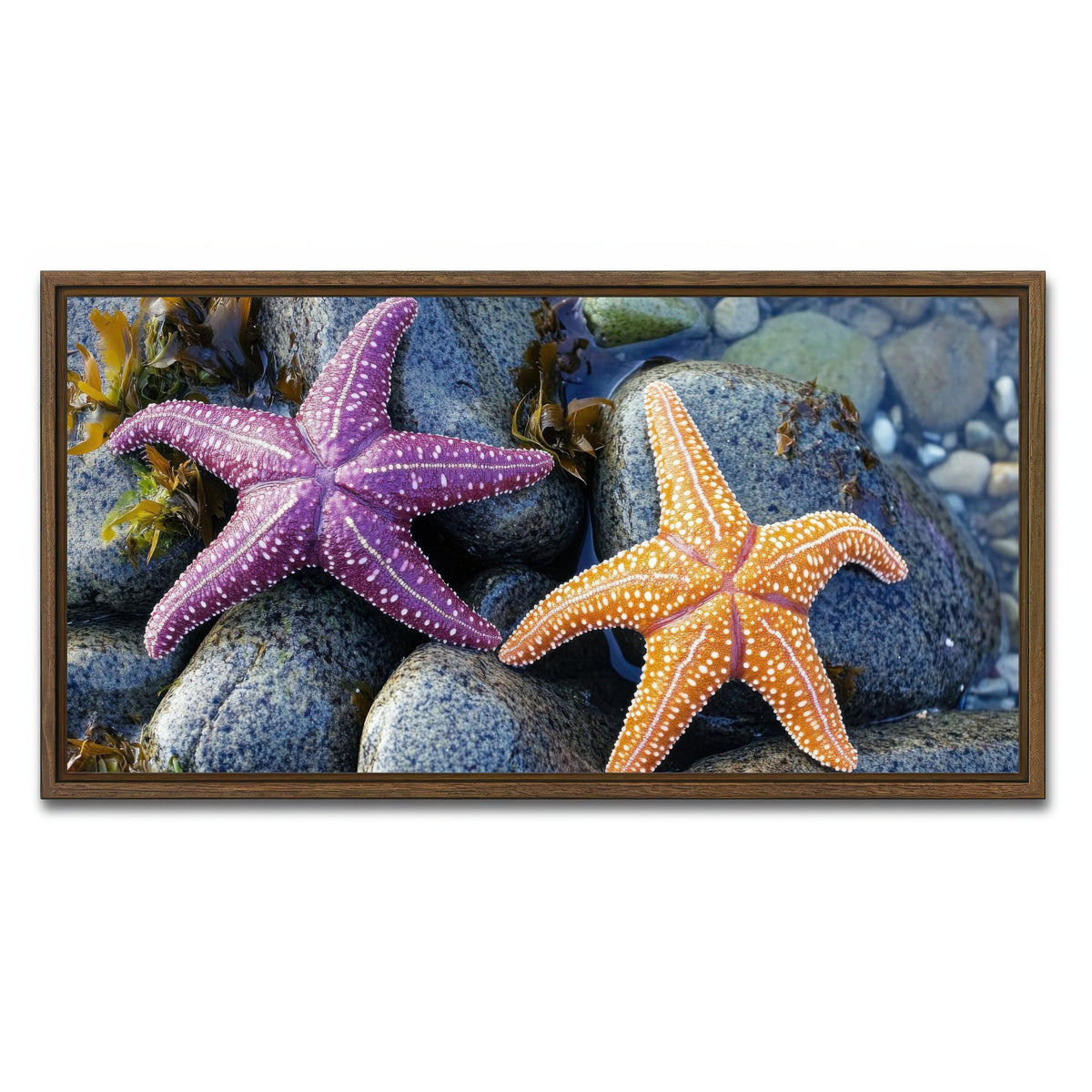 AUTO-MOCKUP WHITE | Colorful starfishes | 1 Piece | Walnut Framed Canvas | group=2x1
