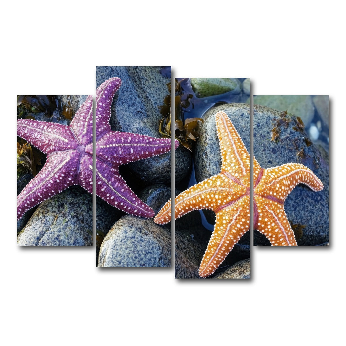 AUTO-MOCKUP WHITE | Colorful starfishes | 4 Piece | Gallery Wrap Canvas | group=4_short