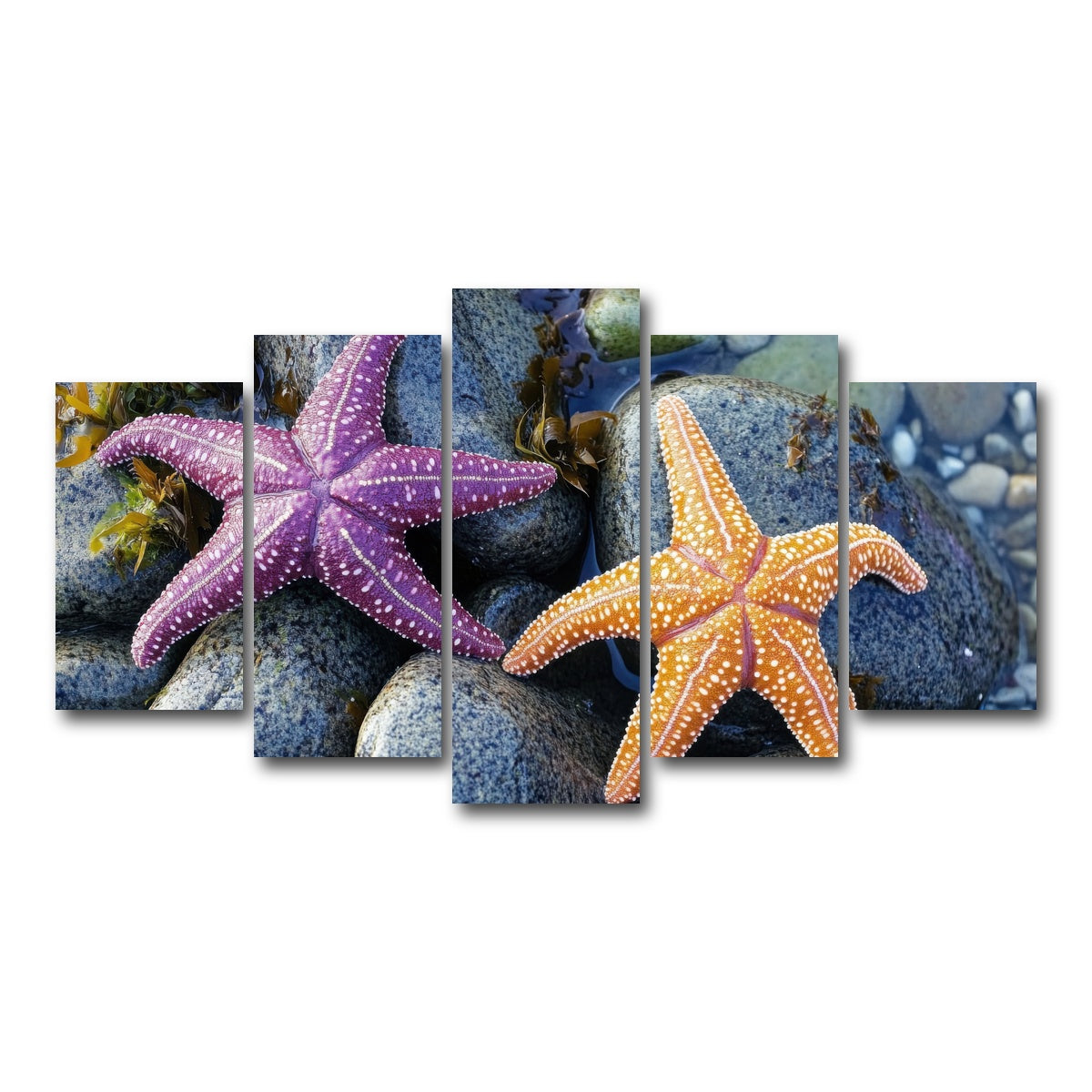 AUTO-MOCKUP WHITE | Colorful starfishes | 5 Piece | Gallery Wrap Canvas | group=5_normal