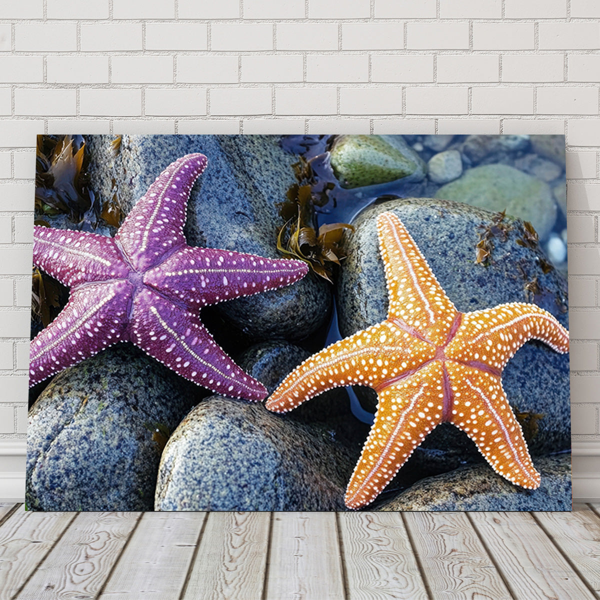 Colorful Starfishes Wall Art