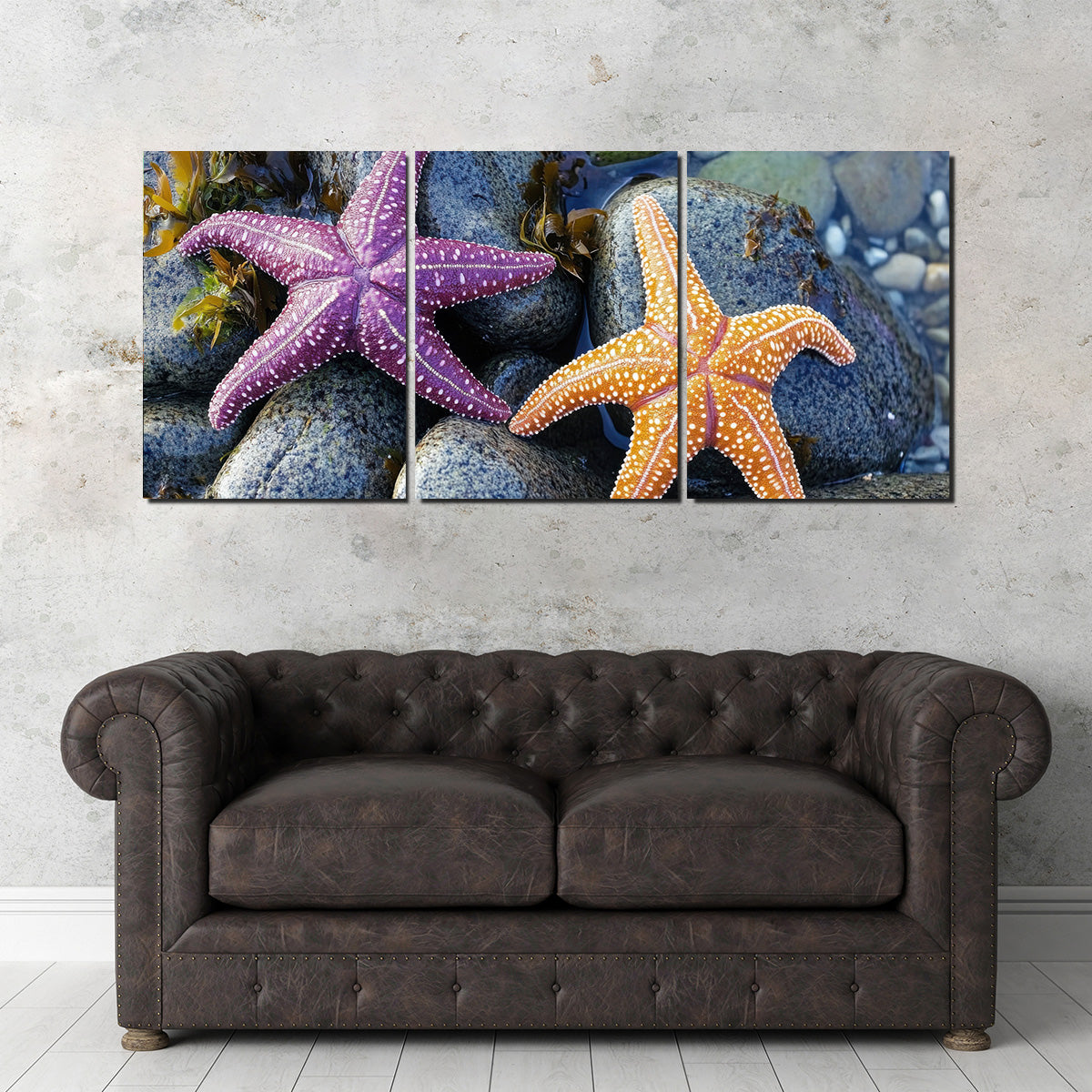 Colorful Starfishes Wall Art