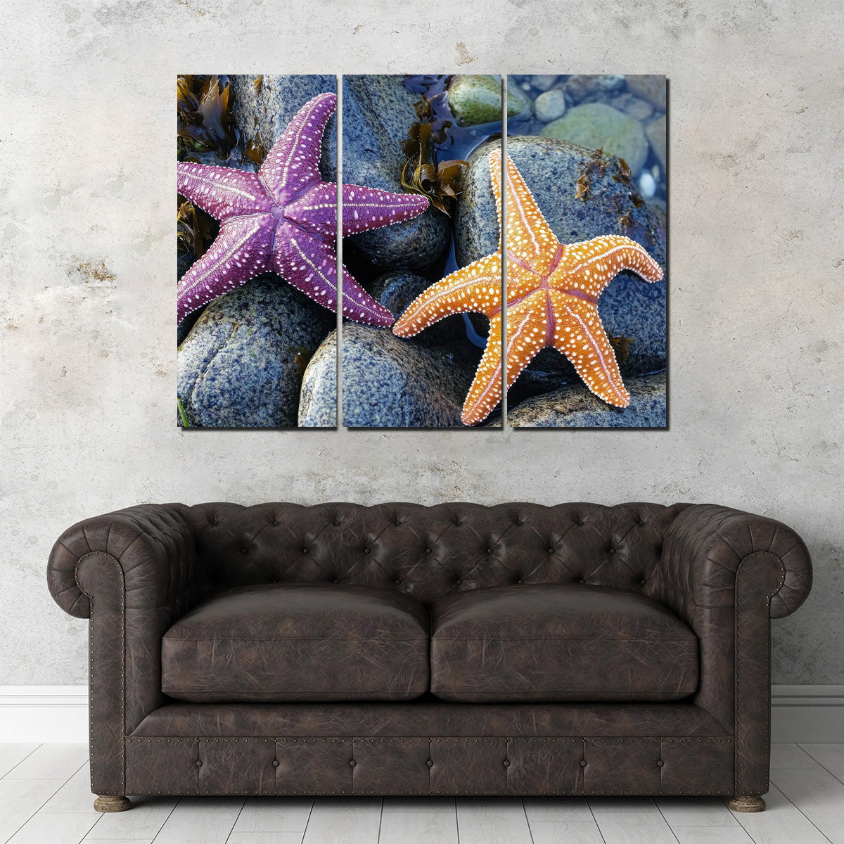 Colorful Starfishes Wall Art