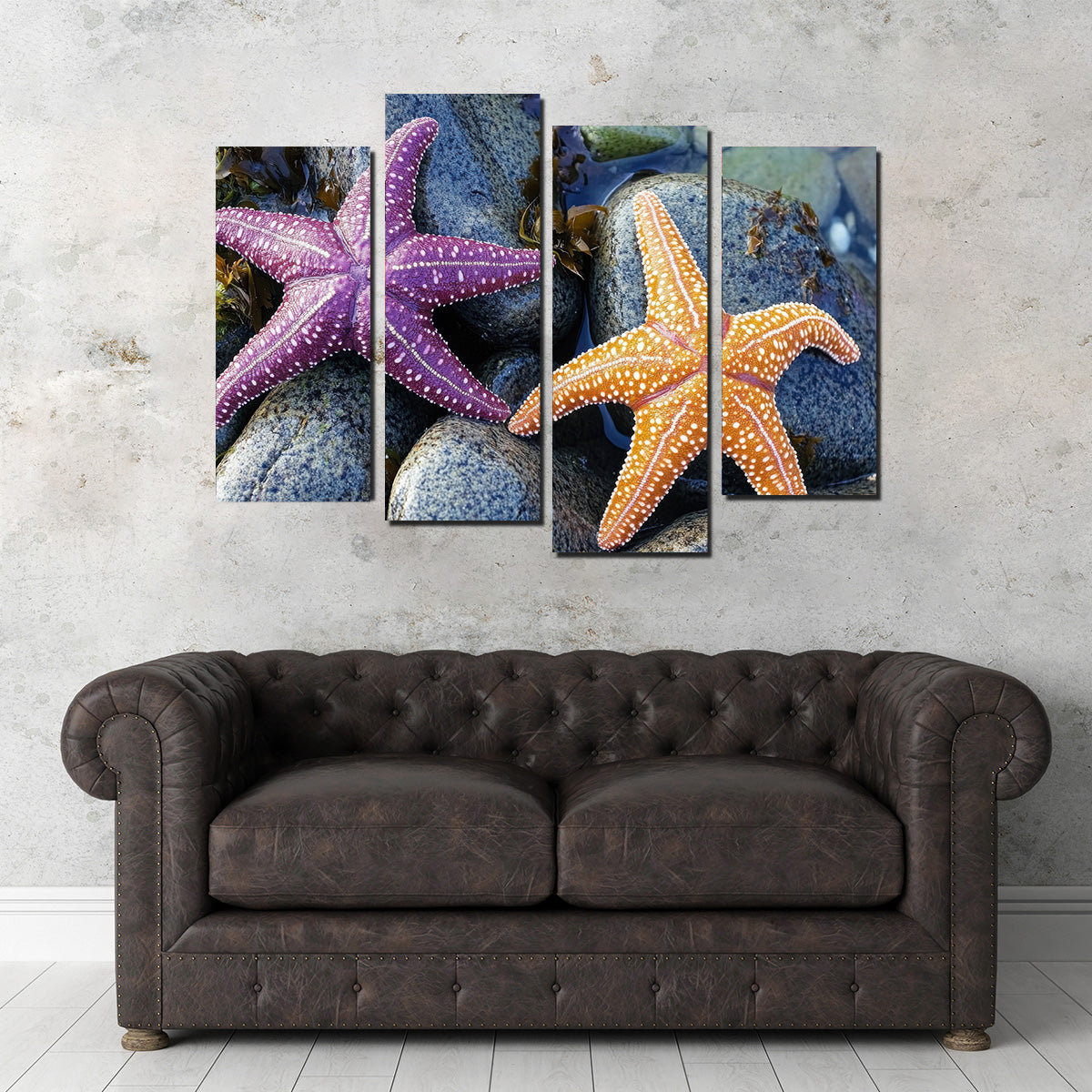 Colorful Starfishes Wall Art