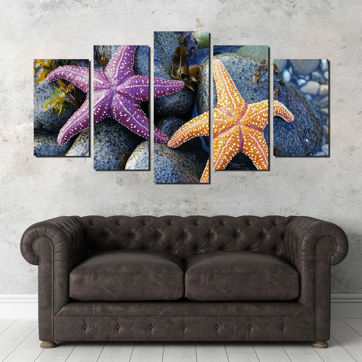 Colorful Starfishes Wall Art