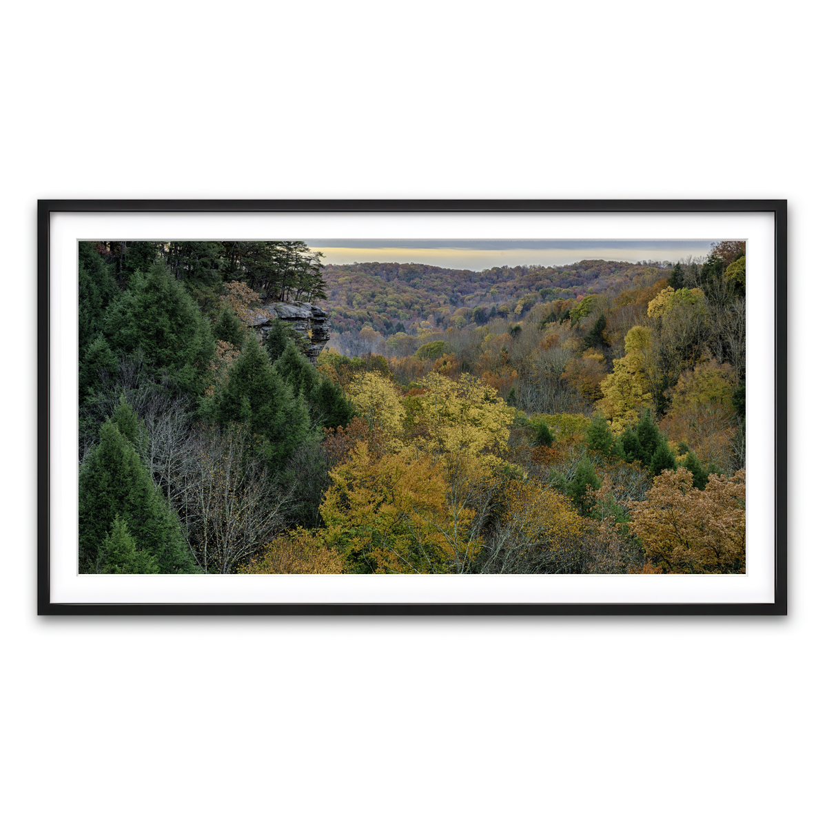 Framed Print 2x1 Black