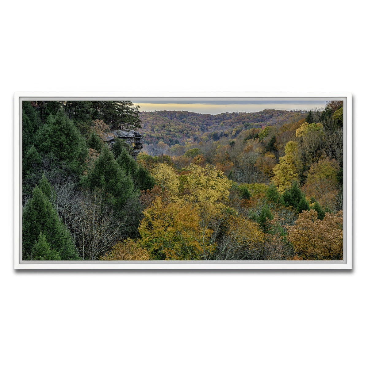 AUTO-MOCKUP WHITE | Conkle's Hollow State Nature Preserve | 1 Piece | White Framed Canvas | group=2x1