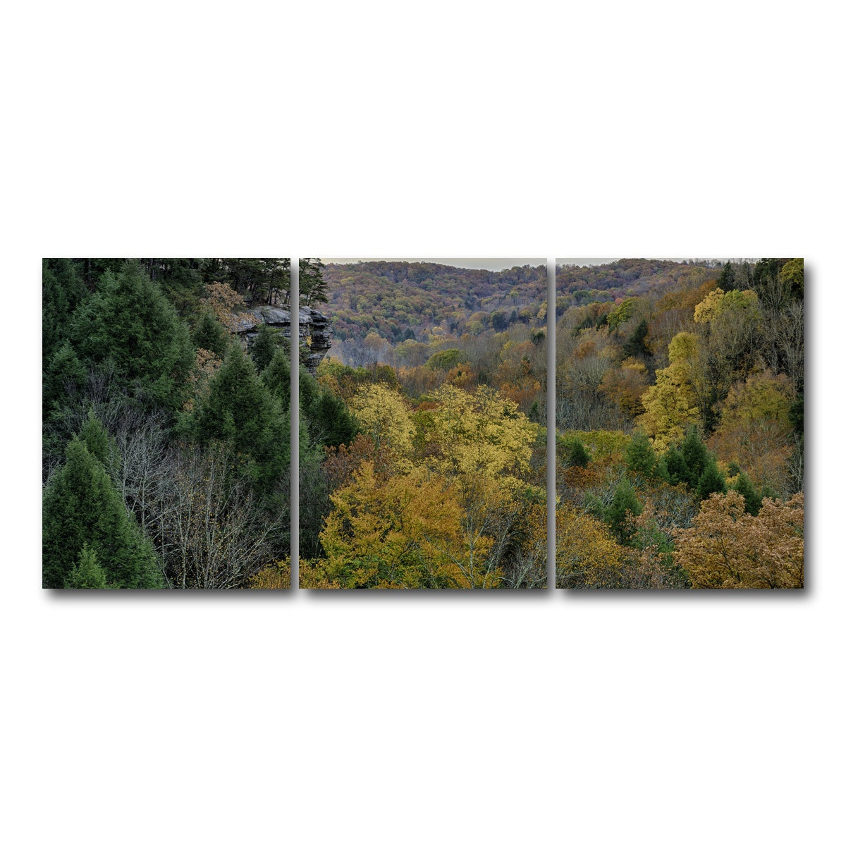 AUTO-MOCKUP WHITE | Conkle's Hollow State Nature Preserve | 3 Piece | Gallery Wrap Canvas | group=18x24
