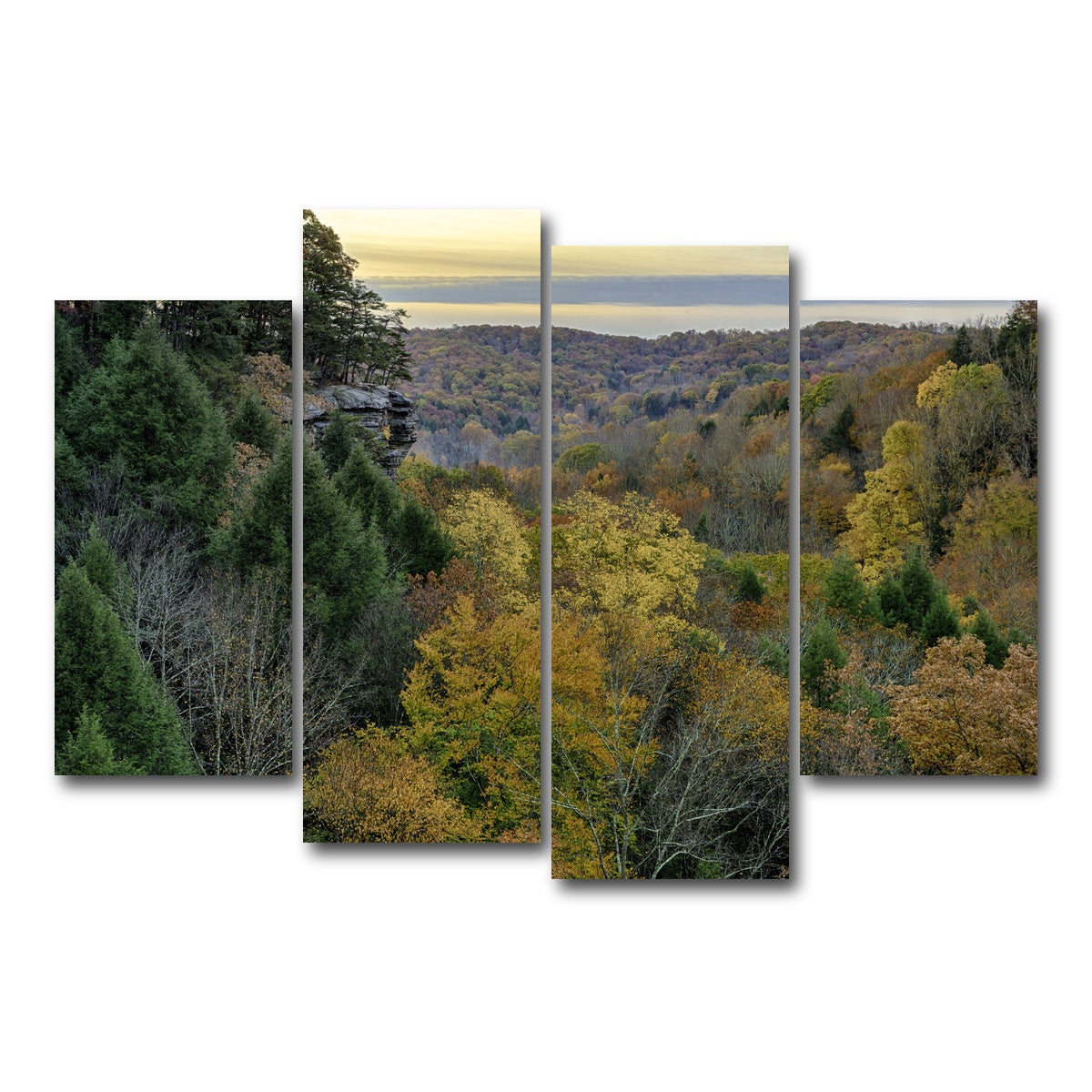 AUTO-MOCKUP WHITE | Conkle's Hollow State Nature Preserve | 4 Piece | Gallery Wrap Canvas | group=4_short