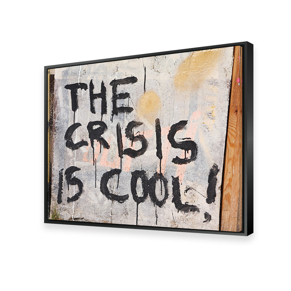 Cool Crisis - Berlin Wall Art