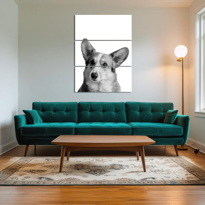 AUTO-MOCKUP ROOM | Corgi Dog