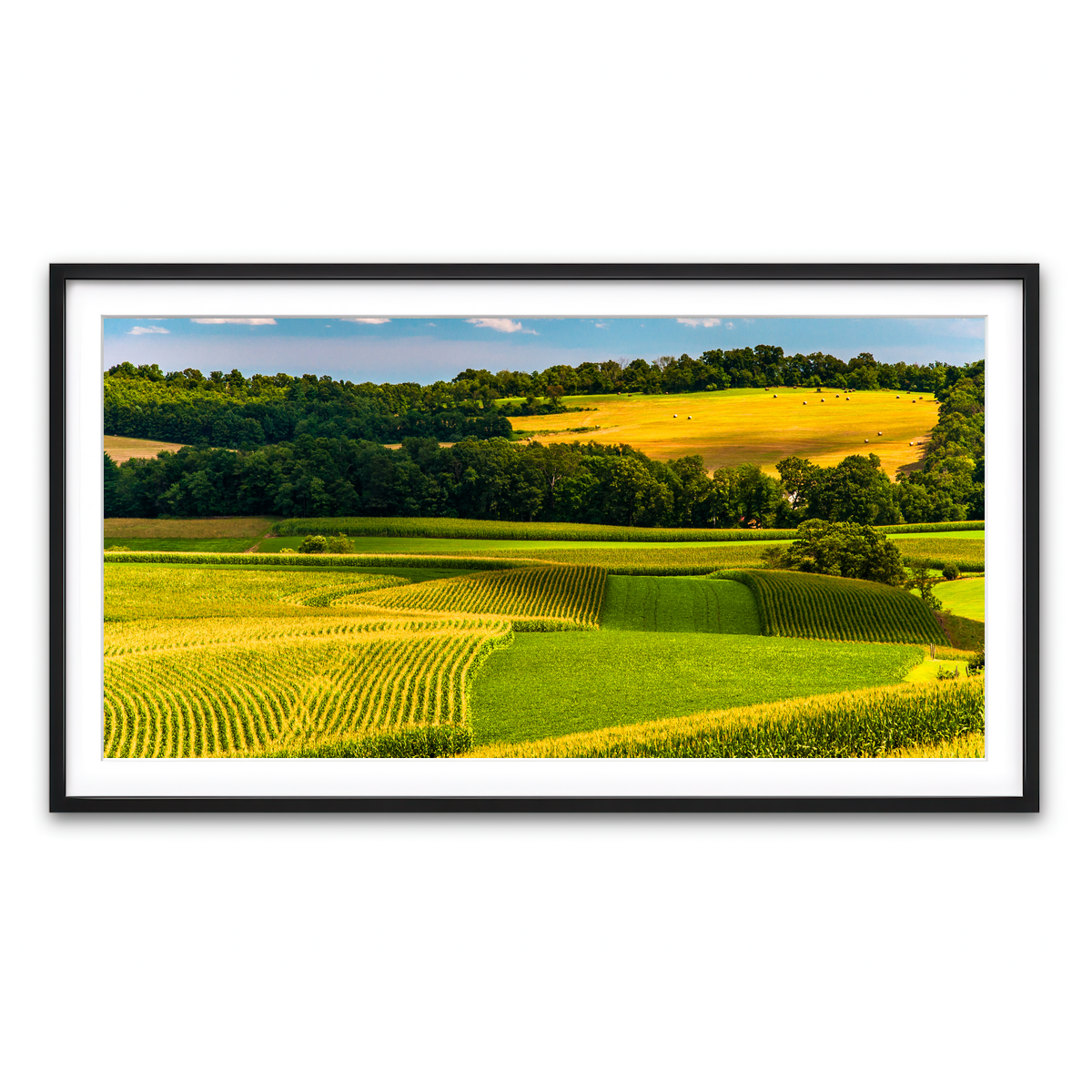 Framed Print 2x1 Black