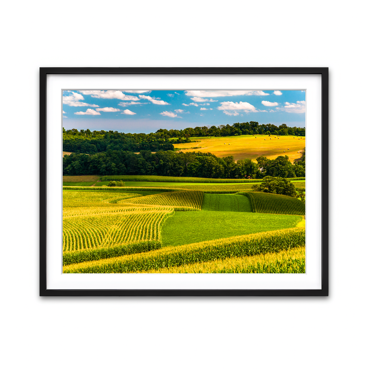 Framed Print 4x3 Black