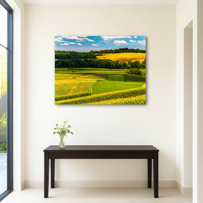 AUTO-MOCKUP ROOM | Corn fields and rolling hills York County