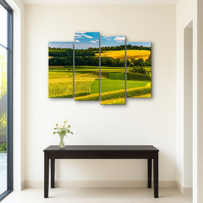 AUTO-MOCKUP ROOM | Corn fields and rolling hills York County