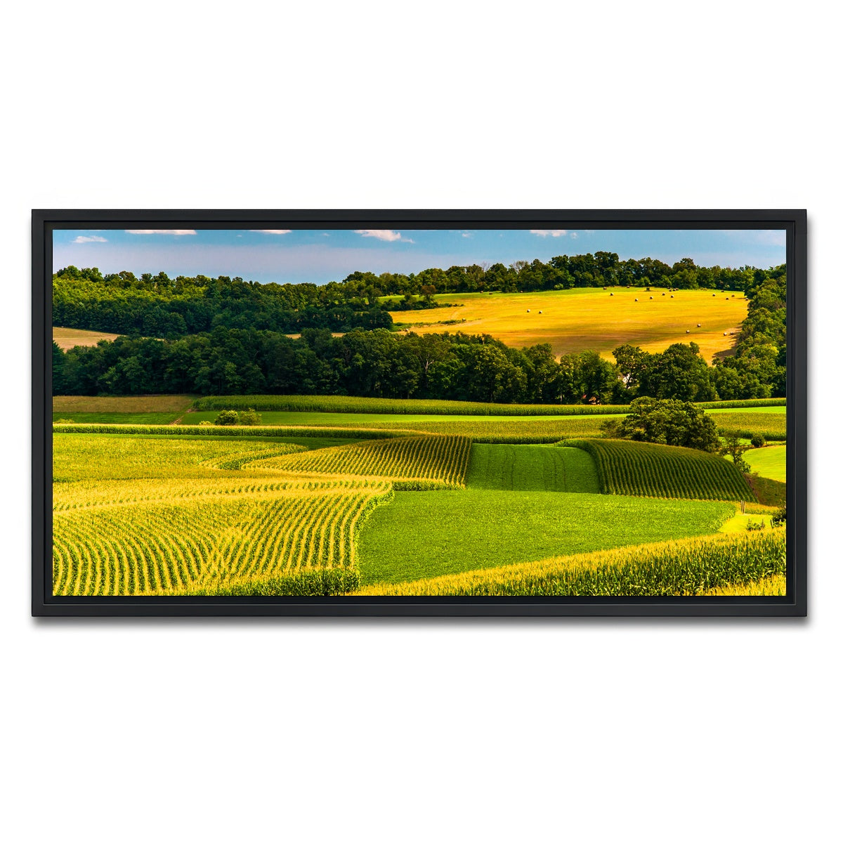 AUTO-MOCKUP WHITE | Corn fields and rolling hills York County | 1 Piece | Black Framed Canvas | group=2x1